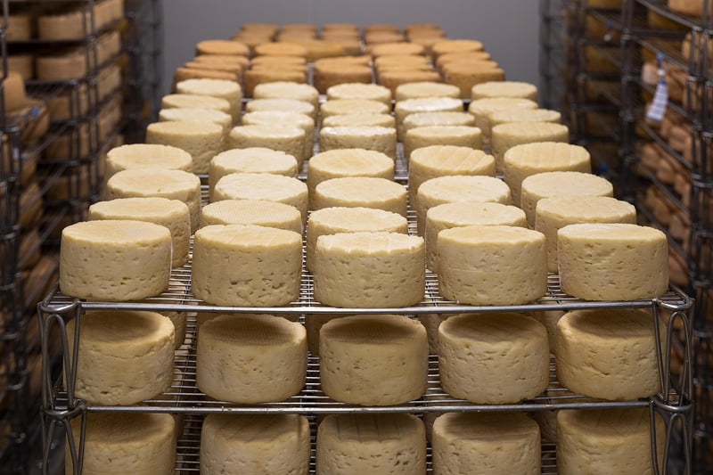 Artisanal Cheese Market